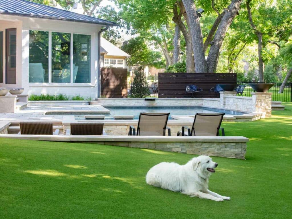 does artificial grass work for dogs