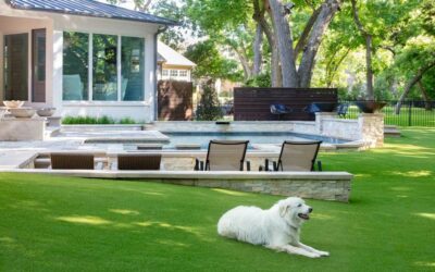 Can Dogs Pee on Artificial Grass?