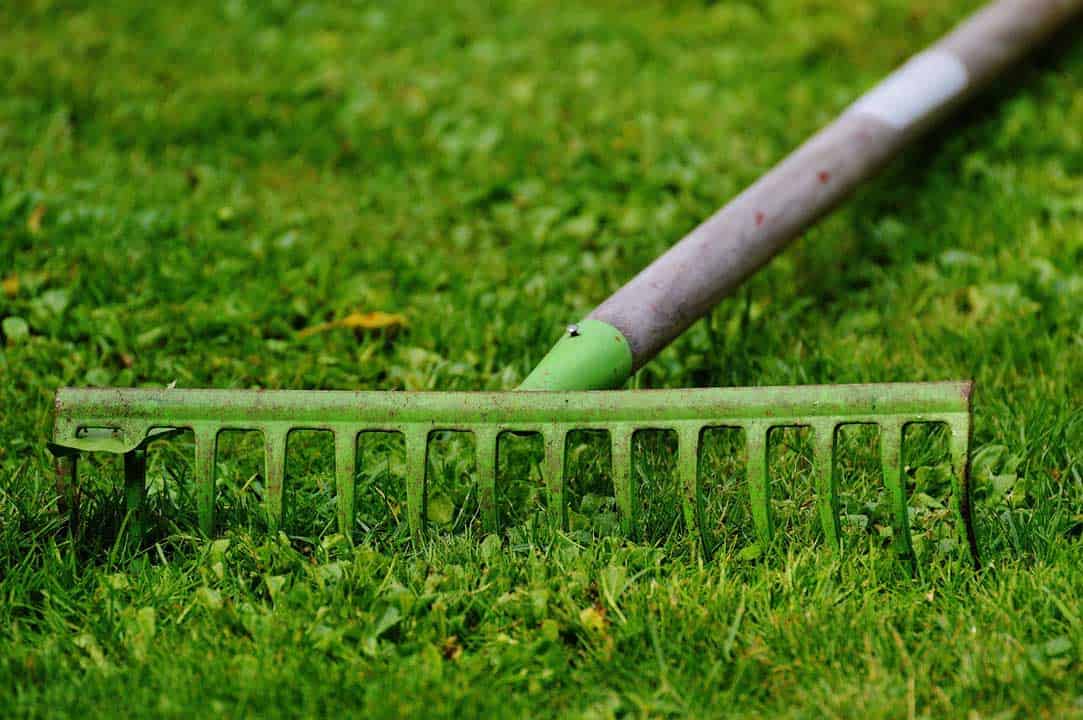 How to Clean Artificial Grass Everything You Need to Know Artificial