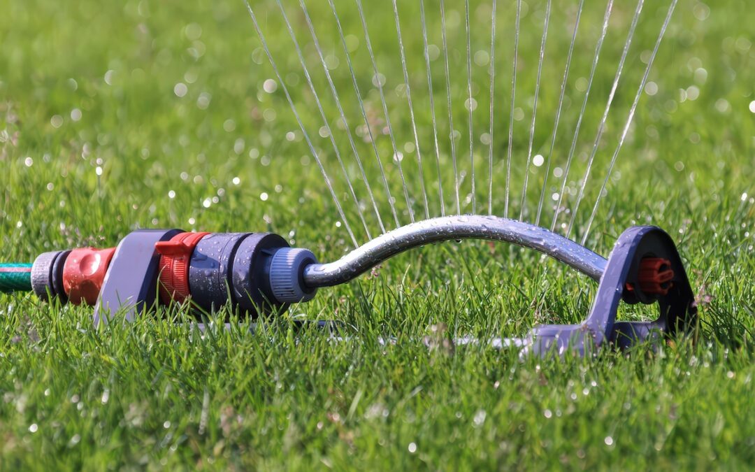 WHAT’S THE BEST TIME TO WATER GRASS IN TEXAS?