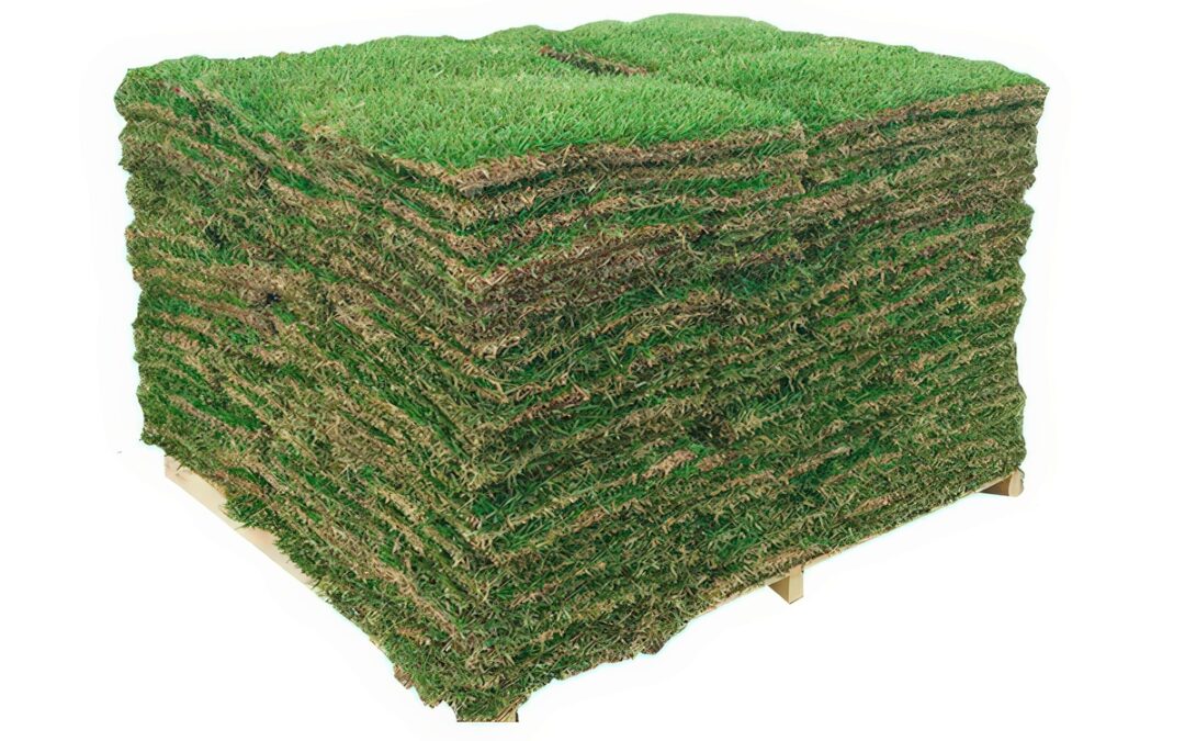 HOW MUCH IS A PALLET OF GRASS IN TEXAS?