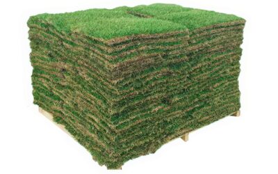 How Much is a Pallet of Grass in Texas?