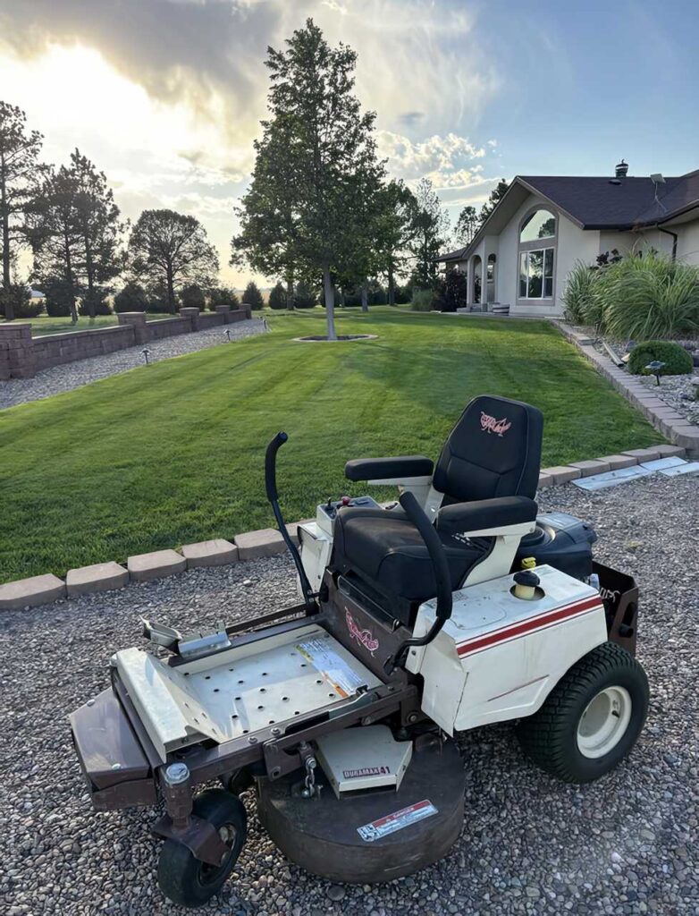 Tall Fescue Grass Drought Resistant