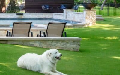 Is Artificial Turf Toxic in the U.S.?