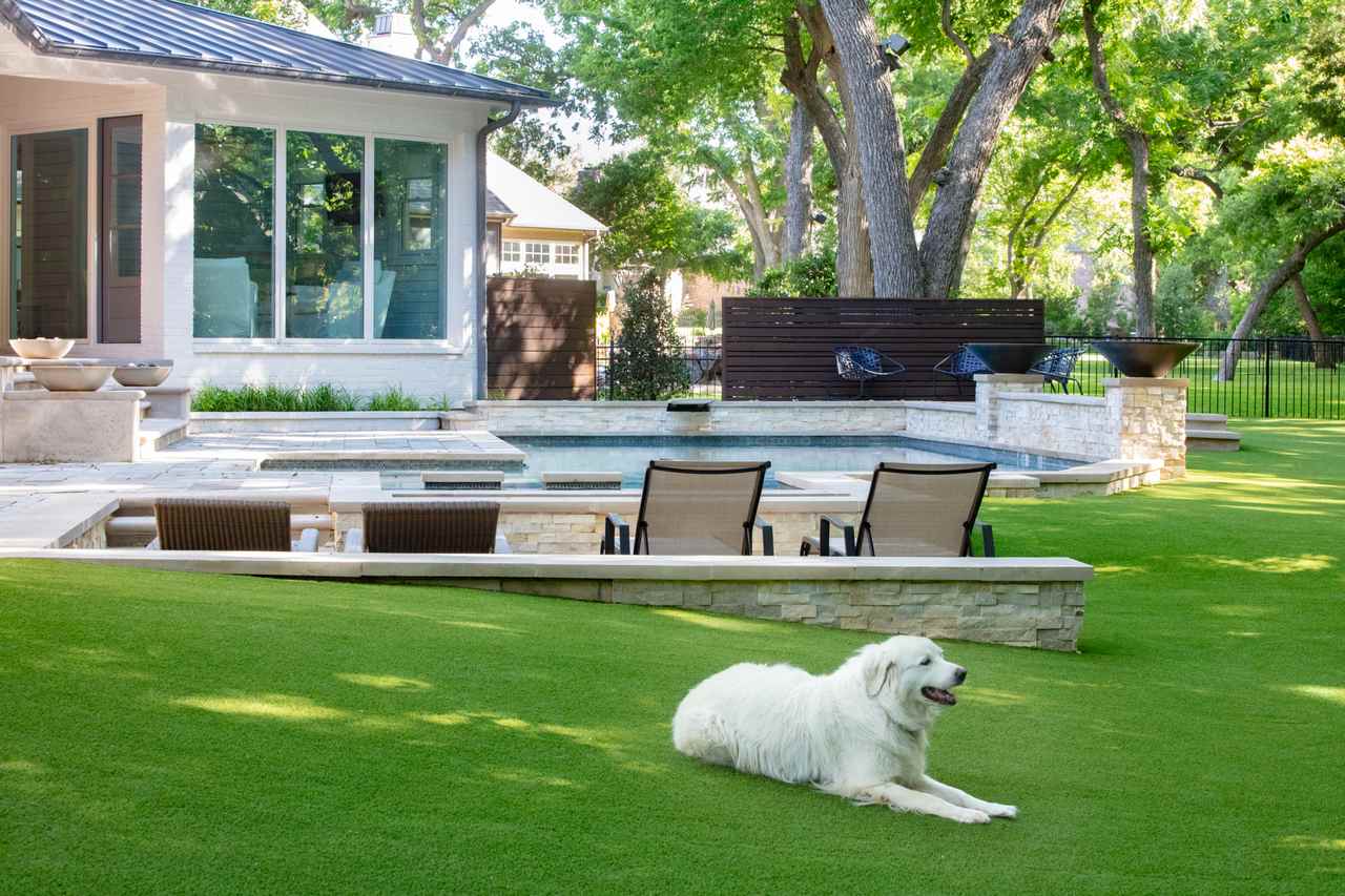 Large white dog lying on artificial grass in a well-landscaped backyard with poolside lounge chairs and mature trees in the background.