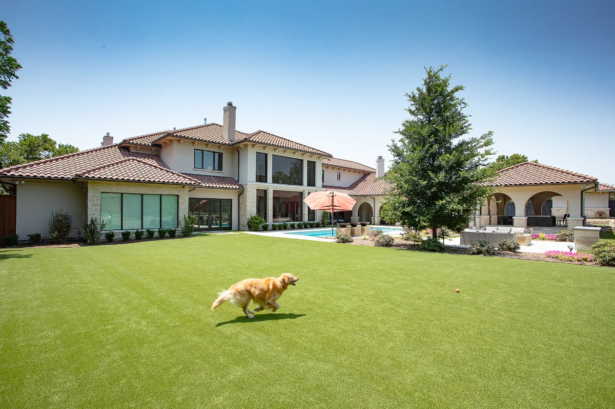 Artificial Pet Turf Artificial Pet Turf backyard with a dog chasing a ball