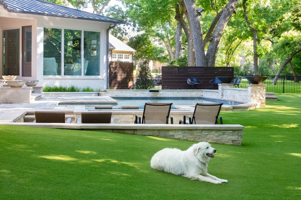 Artificial Pet Grass Artificial Pet Grass backyard with a dog laying on it and a pool in the background