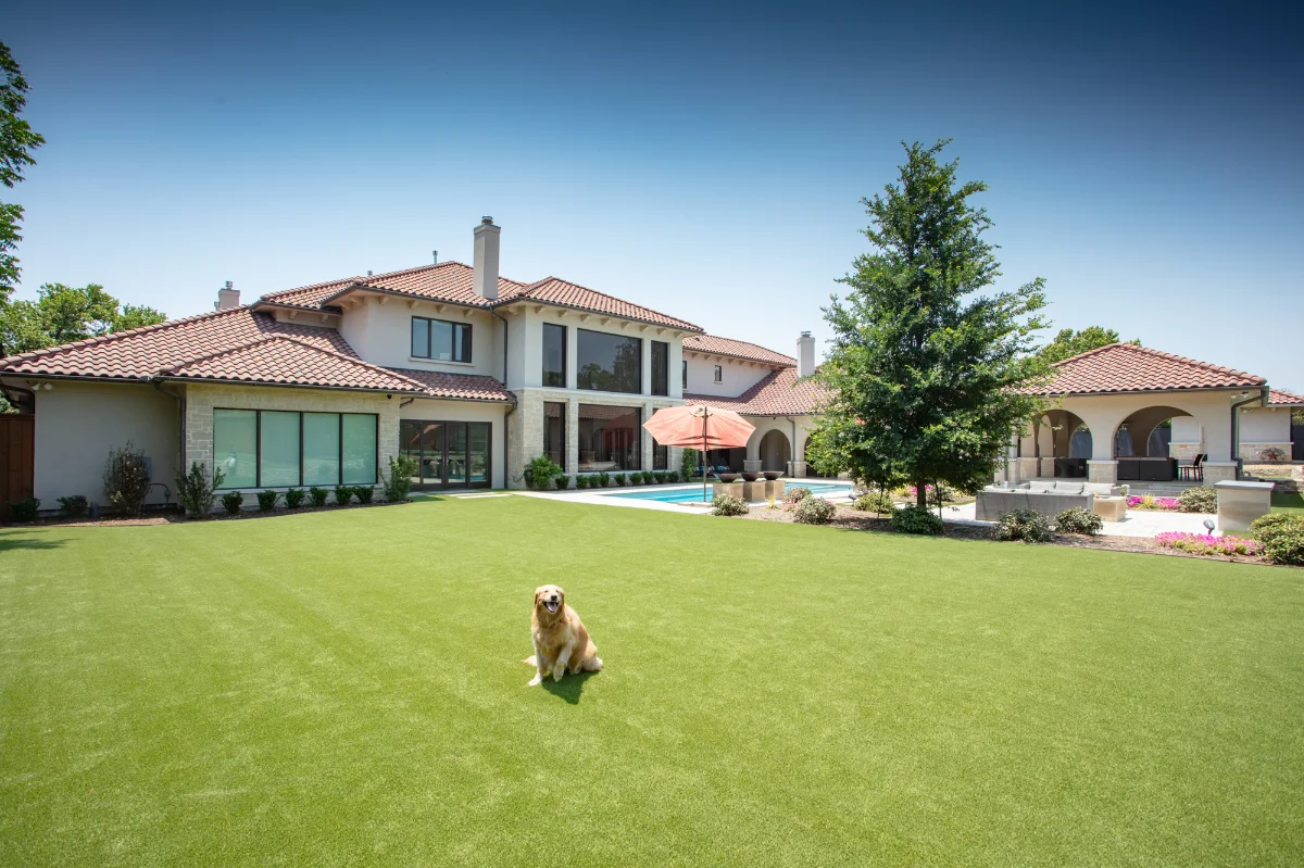 Artificial turf backyard in Charlotte with a dog
